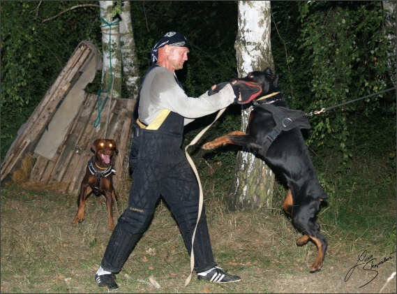 Summer training camp - Jelenec - 2007